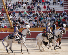 Empate Ganadero,numa grande corrida de toiros na Monumental Celestino Graça.                          
