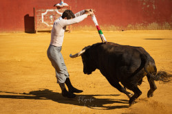 Peseiro na Azambuja