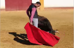 Enrique Ponce volta a taurear após a operação