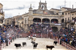 Ciudad Rodrigo, com datas para o Carnaval do Toiro de 2022