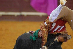 Forcados Amadores de Évora nas 3 corridas da 1ª parte da temporada Eborense