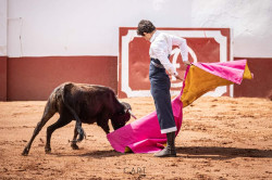 DIOGO PESEIRO no México