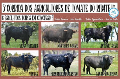 Centenária Praça de Toiros de Salvaterra  O Regresso no próximo dia 9 de Maio