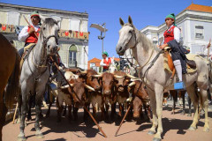 Câmara Municipal de Vila Franca de Xira candidatou o Colete Encarnado ao Inventário Nacional do Património Cultural Imaterial