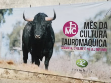 Azambuja Engalanada para a Feira de Maio 2021