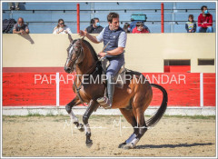 Imagens do Treino do cavaleiro Diogo Oliveira