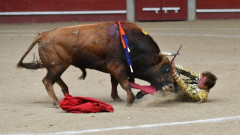 Colhida de Román e triunfo de Ginés Marín,em Leganés