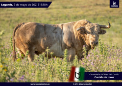 Os Toiros de Nunez del Cuvilho para esta tarde em Legánes