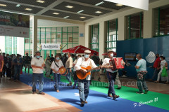 Tarde agradável na Feira Nacional de Agricultura.