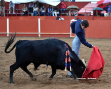 Primeira final das novilhadas del Circuito de Antequera