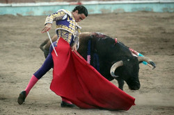JOAQUÍN GALDÓS “(El arte huele a Segovia”)