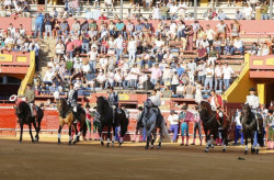 Triunfo de Francisco Palha hoje em Huelva.