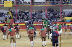 Nazaré 1ª corrida da temporada de verão 2021 na Praça de Toiros do Sítio