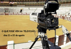 Toiros na Televisão