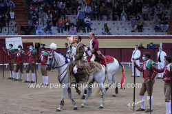 TOIRO DA GANADARIA PALHA VENCE TROFÉUS BRAVURA E APRESENTAÇÃO.