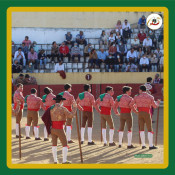 Toiros na Barquinha, dia 31 Outubro
