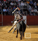 A Cavaleira Ana Rita continua a ser uma das Figuras do Rejoneio em Espanha.