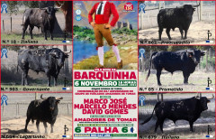 Os Palhas,para 6 Novembro na Barquinha