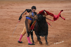 Morante de la Puebla