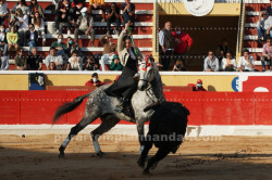 MOITA  A CAPITAL DA TAUROMAQUIA  --  FESTIVAL  DA PROTOIRO  2022
