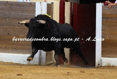 HIGUERA LA REAL - BOA CORRIDA DE MURTEIRA PARA SAÍDA EM OMBROS DOS 3 MATADORES