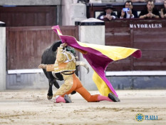 Diogo Peseiro, sem sorte em Madrid.