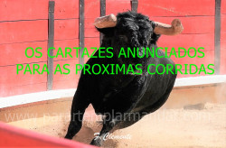 Os carteis anunciados para as próximas corridas de Toiros.