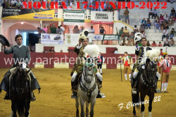FOTOGALERIA  DE 17 DE JULHO EM MOURA