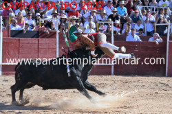 As Pegas na Corrida de Toiros em Lavre.