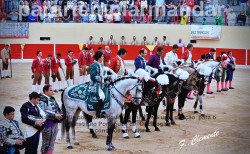 A CORRIDA DO TOMATE, EM AZAMBUJA