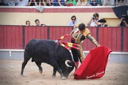 100ª Corrida de Morante Cancelada.