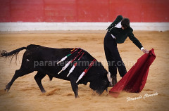Gonçalo Alves em Guadalajara (Madrid).