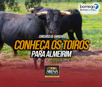 Os toiros para Almeirim no dia 2