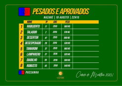 Pesados e aprovados os toiros de Passanha para a Corrida de Maestros esta noite na Nazaré.