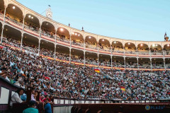 SEMEAR AFICIÓN, PARA VIR A COLHER !