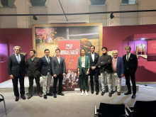 TOIROS EM TELEMADRID