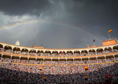 Carteis rematados para Madrid 2024