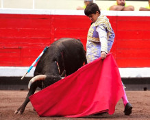 Tomás Bastos cortou uma orelha na sua última novilhada sem picadores