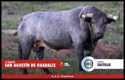 Os Saltillo e Montealto para San Agustín del Guadalix.