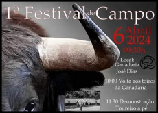 1º FESTIVAL de CAMPO 