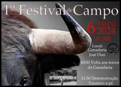 1º FESTIVAL de CAMPO 