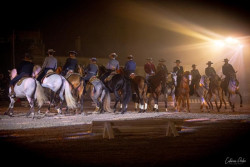 Campanha de promoção da Gala Equestre e Musical em Almeirim