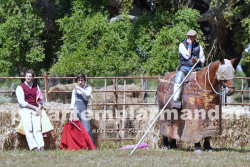 Tenta a campo aberto na Herdade de Vil Figueira