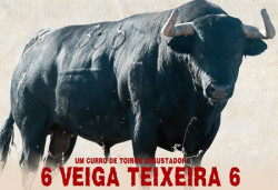 Imponentes Toiros Veiga Teixeira para hoje em Moura .