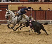 Apresentação E Currículo Do Cavaleiro Praticante António Mendonça E Do Cavaleiro Amador Vasco Veiga