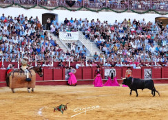 A Ganadaria Murteira Grave, premiada como a melhor da feira de Málaga 