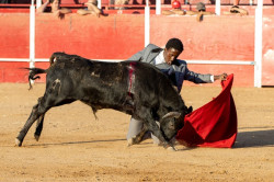 Debute de Eduardo “Chibanga” em Espanha