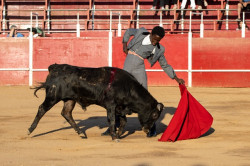 Comunicado Oficial - Escola de Toureio e Tauromaquia da Moita