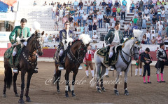 Corrida de Emoção ,na feira de Setembro em Moura.