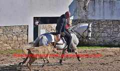 Garraiada de Natal do Grupo de Forcados de  Santarém